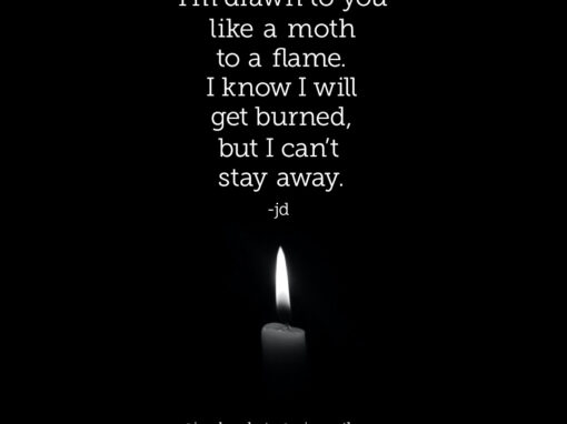 Moth to a Flame