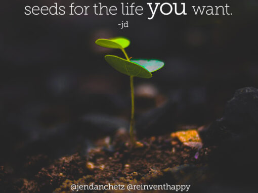 Plant Your Seed